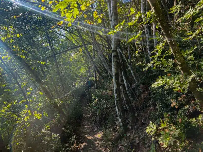 sentiero che da Riola va verso Soprasassp