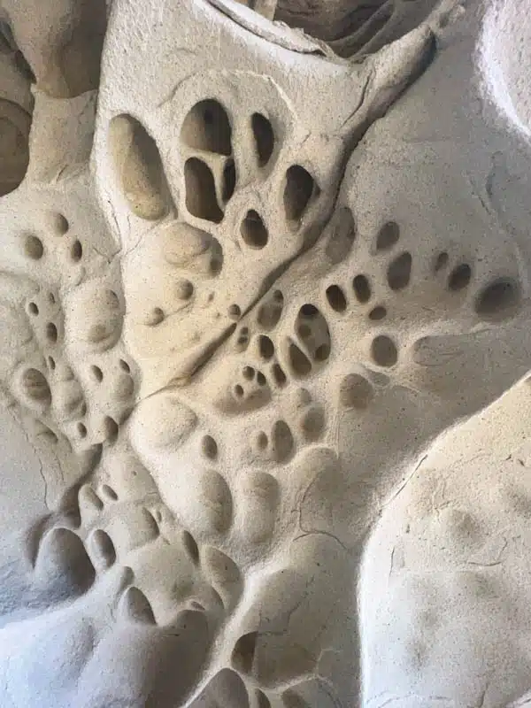 Particolare dei tafoni