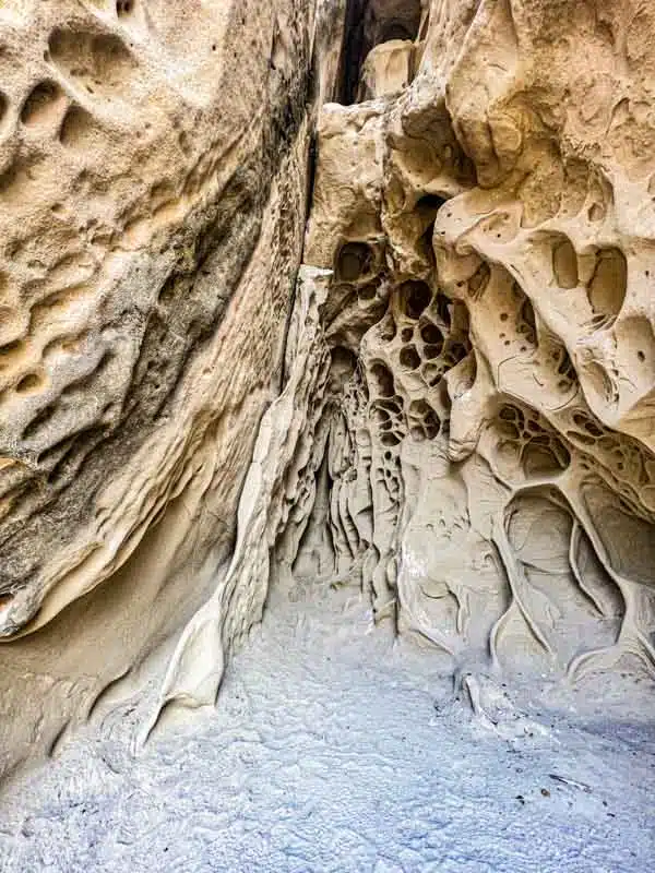 dettaglio dei tafoni nella grotta dei piatti