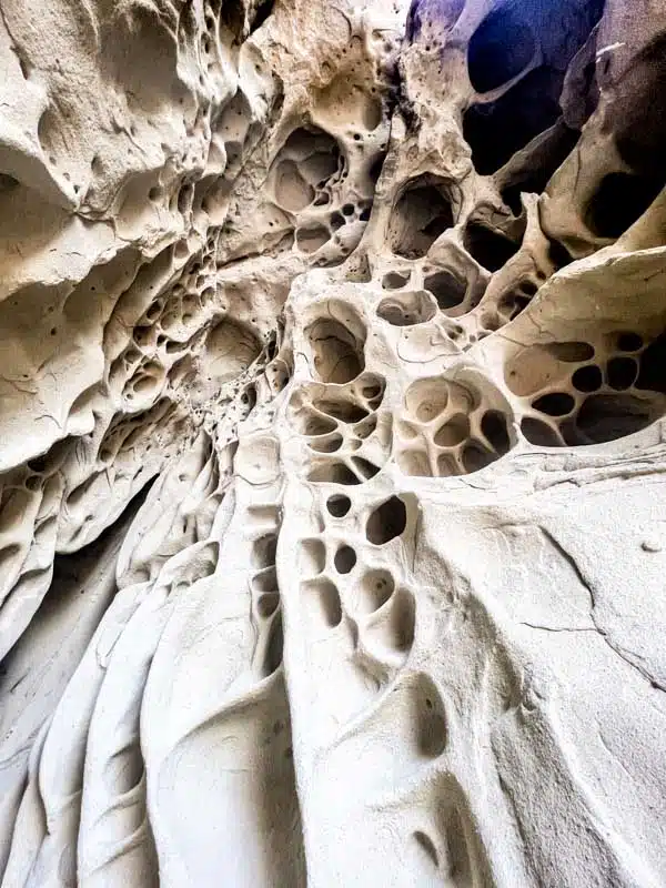 dettaglio dei tafoni all'interno della grotta