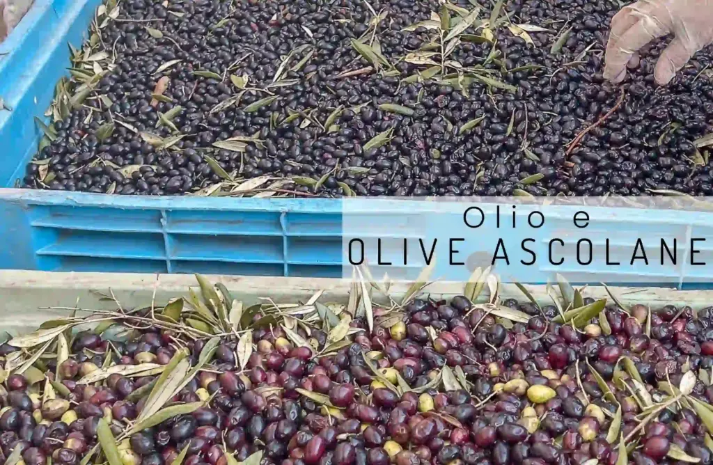 Olive tenere ascolane