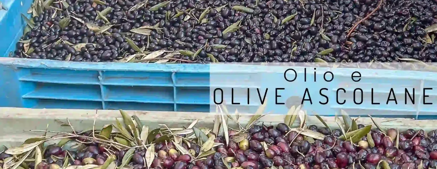 Olive tenere ascolane