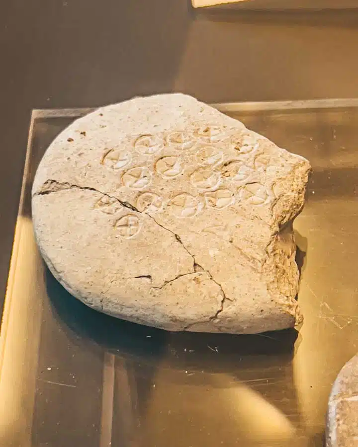 documento di tasporto dei terramaricoli