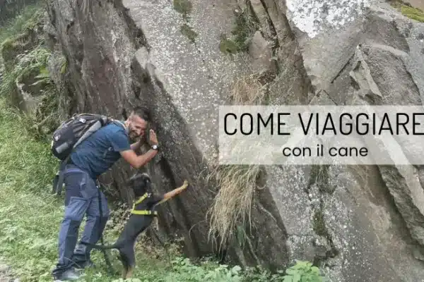 Rocco e il suo cane in viaggio